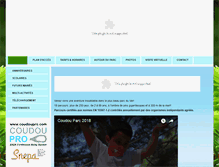 Tablet Screenshot of coudouparc.com